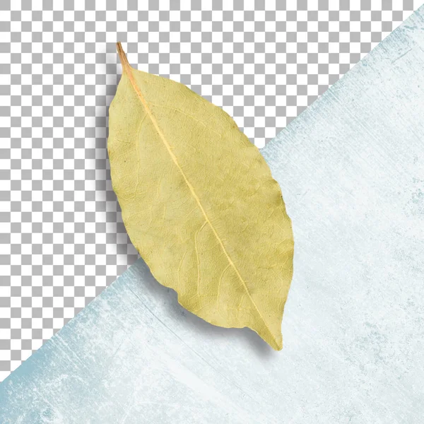 Dry Bay Leaves Isolated Transparency — Stock Photo, Image