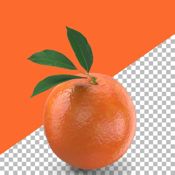 Апельсины Листочками Изолированными Элементов Дизайна Фруктов — стоковое фото