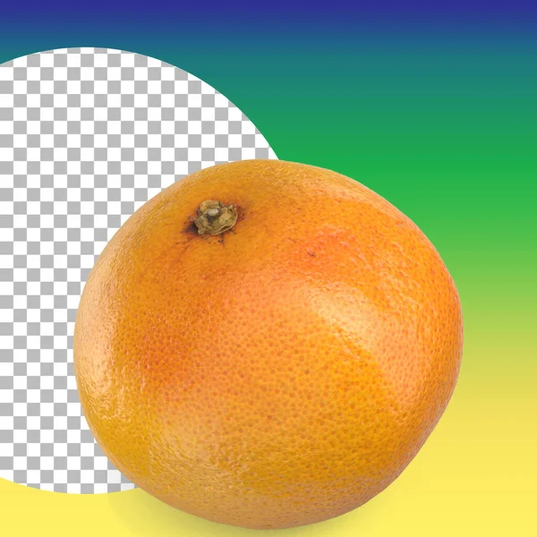 Апельсины Изолированные Элементов Дизайна Фруктов — стоковое фото