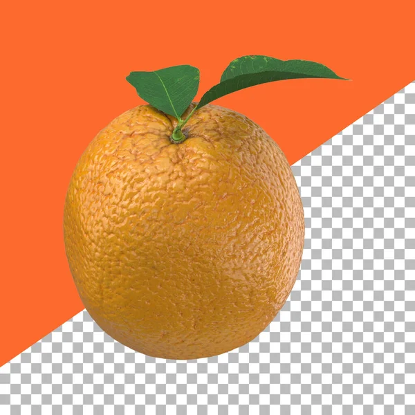 果物の設計要素のために隔離された葉を持つ組成オレンジ — ストック写真