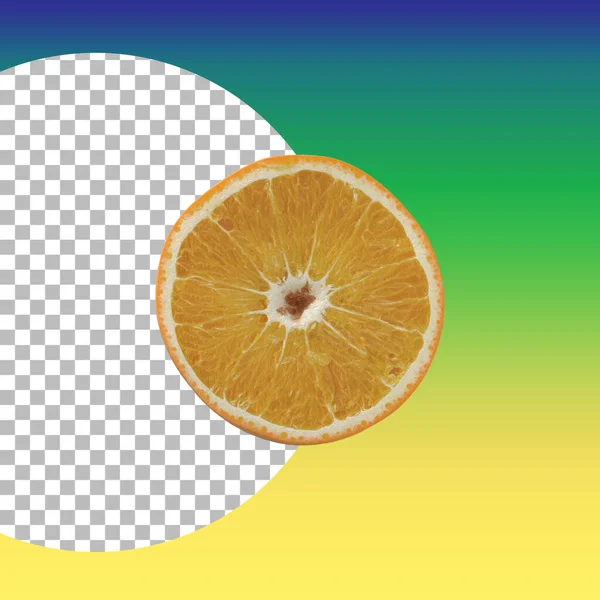 Composición Naranjas Aisladas Para Elementos Diseño Frutas — Foto de Stock