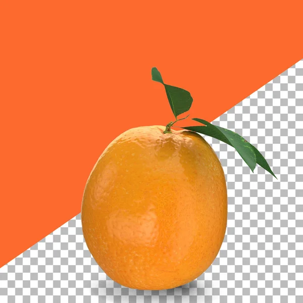 Composizione Arance Con Foglie Isolate Elemento Design Frutti — Foto Stock