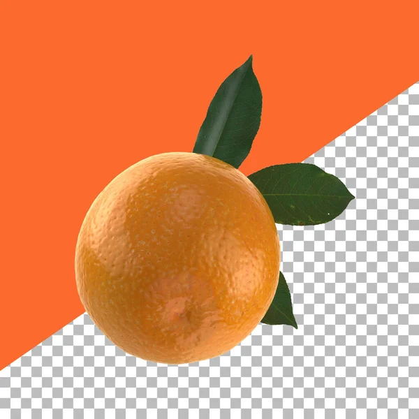 Zusammensetzung Orangen Mit Blättern Isoliert Für Früchte Design Element — Stockfoto