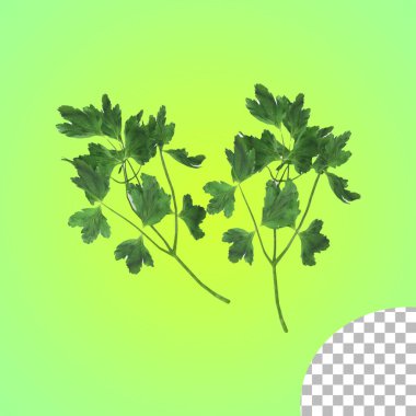 Element koleksiyonunuz için kereviz yapraklarının yakın görünümü.