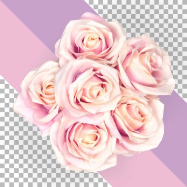 Üst manzara izole pembe güller