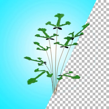 Varlık tasarımı için vahşi bitki .