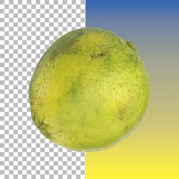 Tropické Ovoce Bylina Kaffir Lime Bergamot Izolované — Stock fotografie
