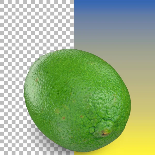 Tropické Ovoce Bylina Kaffir Lime Bergamot Izolované — Stock fotografie