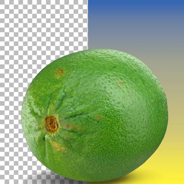 Frutos Tropicais Ervas Kaffir Limão Bergamota Isolado — Fotografia de Stock