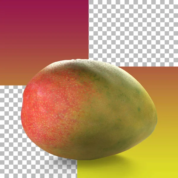 Tropické Mango Pro Váš Design Potravinového Prvku — Stock fotografie