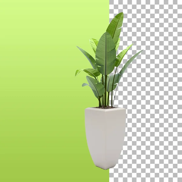 Tropical Plant Pot Design Interior Element — Stock Photo, Image