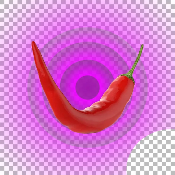 Närbild Röd Chili För Din Elementsamling — Stockfoto