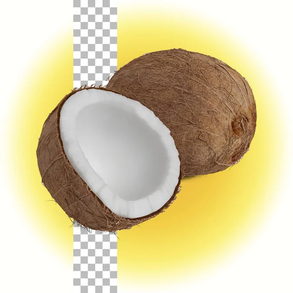 两个椰子在透明度上分离 — 图库照片