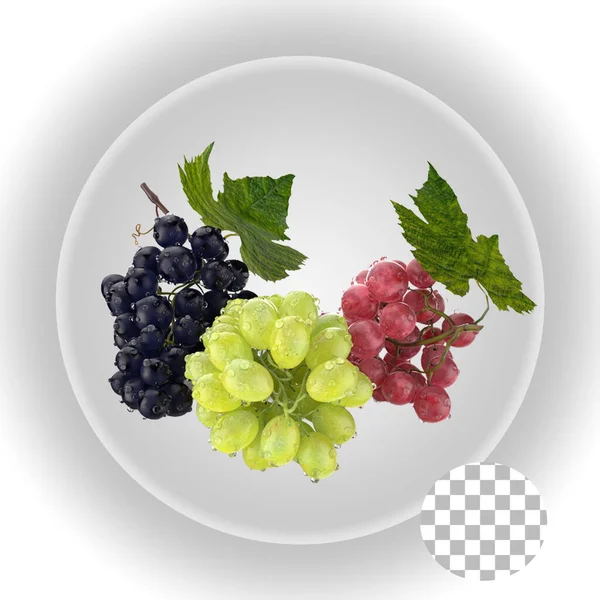 Verschiedene Traubenfrüchte Perfekt Für Ihr Artikeldesign — Stockfoto