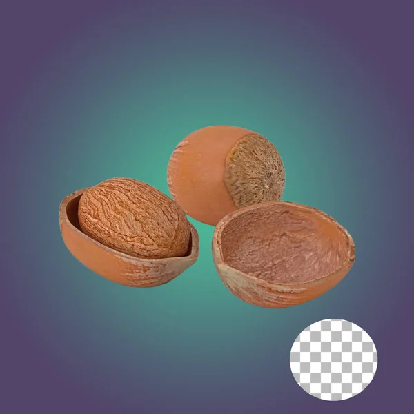 Nutmeg种子元素非常适合您的项目设计 — 图库照片