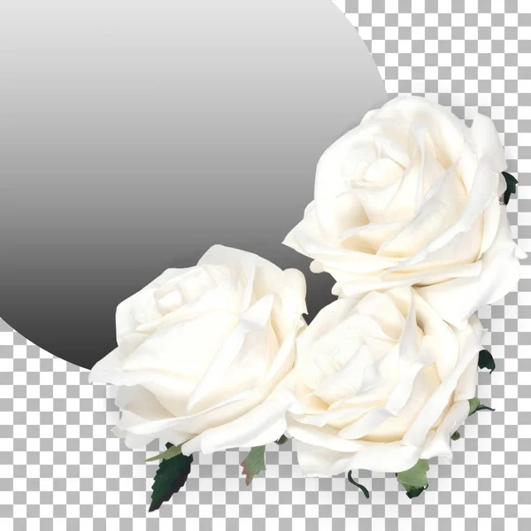 Tetőtéri Nézet Elszigetelt Fehér Rózsák — Stock Fotó