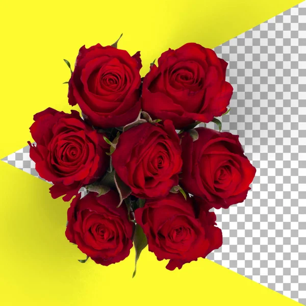 Visão Superior Rosas Vermelhas Isoladas — Fotografia de Stock