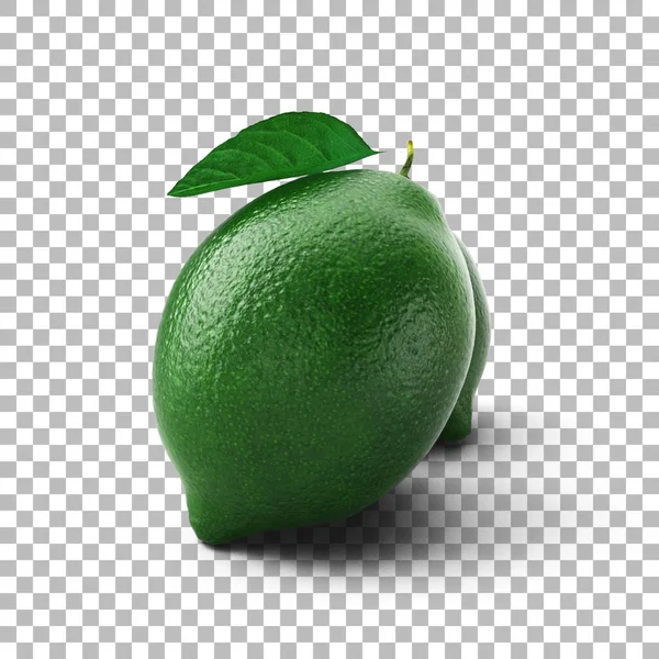 Fresh Green Lime Leaf Your Asset Design — Stock Photo, Image