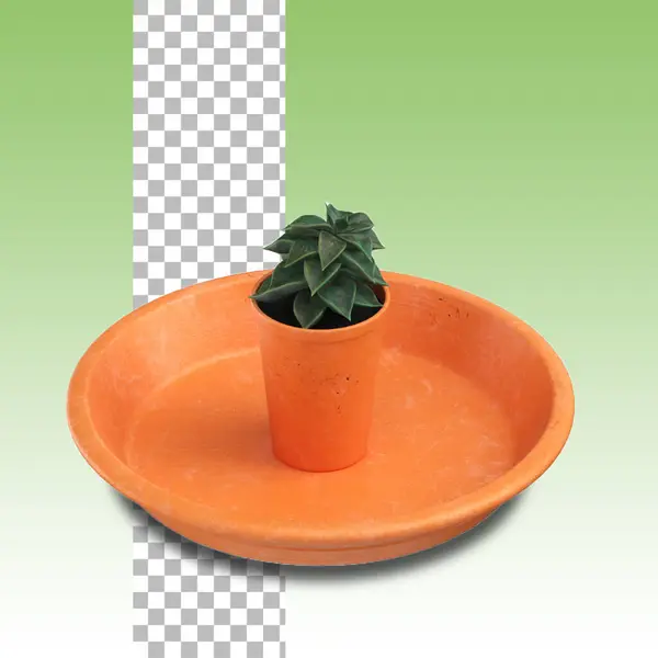 Petite Plante Pot Pour Décoration Maison Concept — Photo