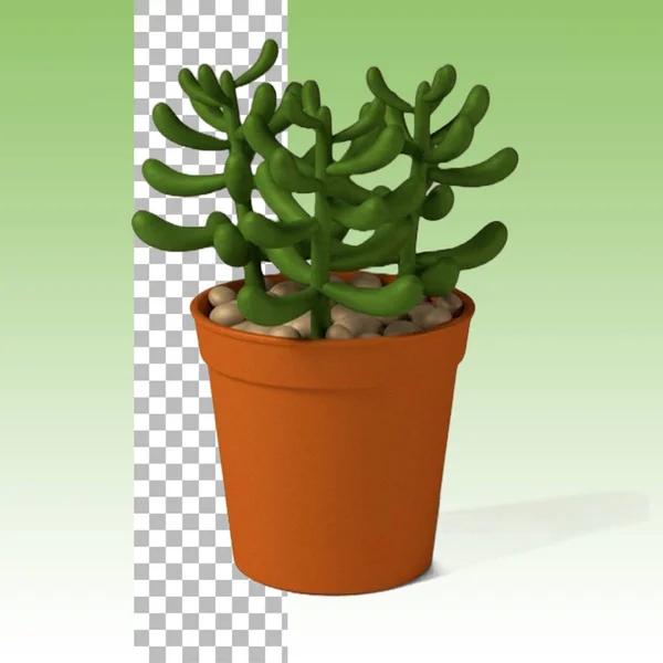 Potted Kleine Plant Voor Huis Decoratie Concept — Stockfoto