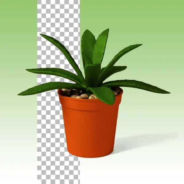 Potted Small Plant Home Decoration Concept — Stock Photo, Image