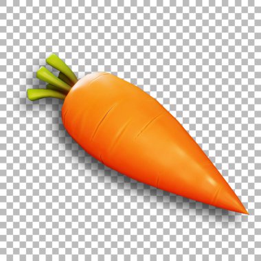 Sebze konseptin için taze havuç..