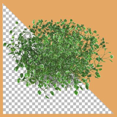 3B çalılar şeffaflıkla izole edilmiş.