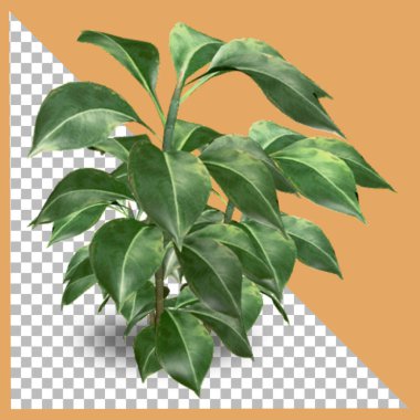 3B plastik fabrika şeffaflıkla izole edildi.