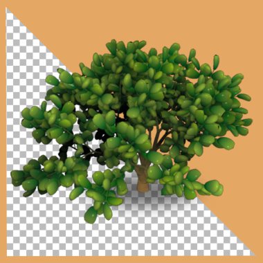 3B Yeşim fabrikası şeffaflık ile izole.