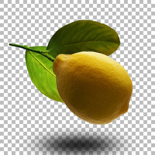 Fresh Yellow Lemon Green Leafs Fit Your Design Assets — Stock Photo, Image