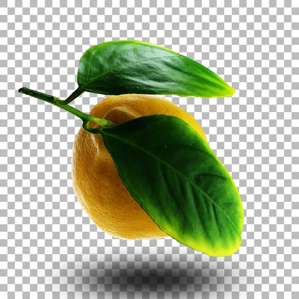 Świeżo Żółta Cytryna Zielonymi Liśćmi Pasująca Twoich Zalet Projektowych — Zdjęcie stockowe