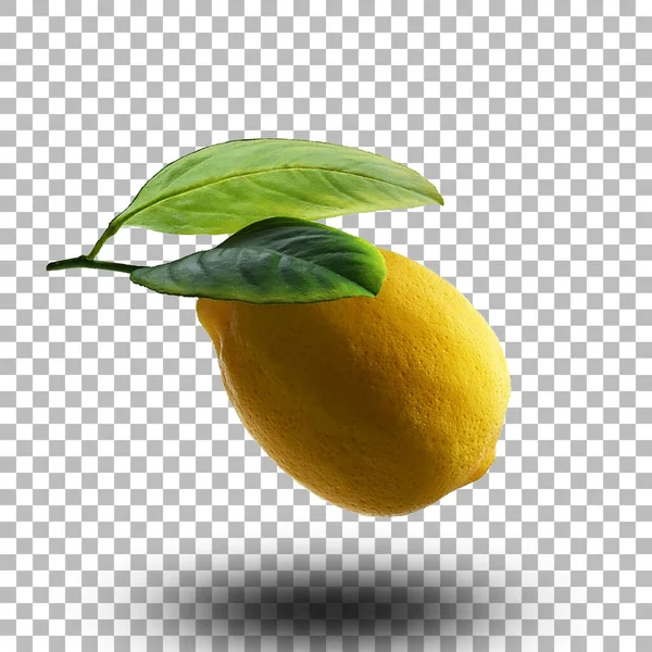 Fresh Yellow Lemon Green Leafs Fit Your Design Assets — Stock Photo, Image