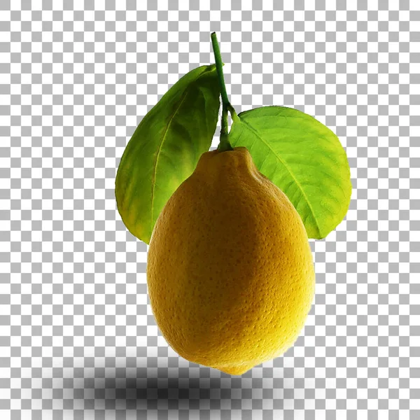 Färsk Gul Citron Med Gröna Blad Passar För Din Design — Stockfoto