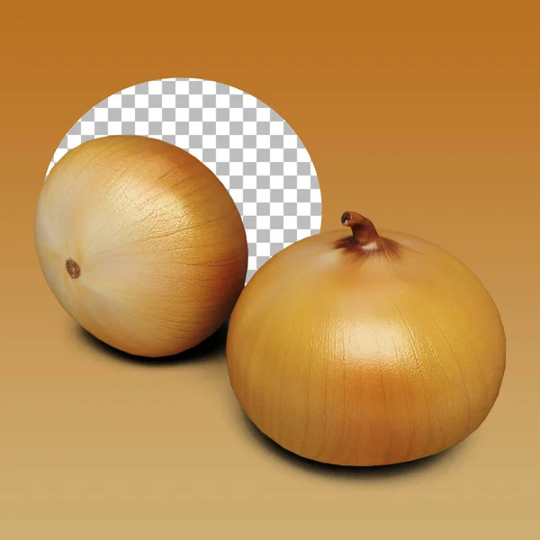 Fresh bulbs of onion for your asset design.