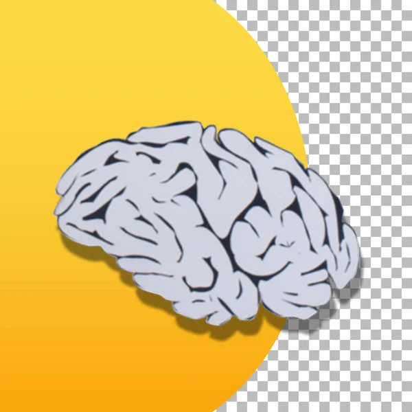 Brain Toy Paper Education Concept — Stock Photo, Image