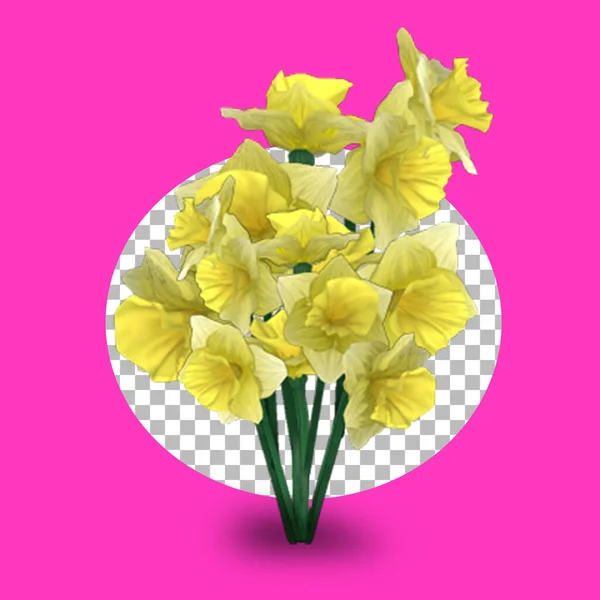 Żonkil Kwiat Izolowany Transparentność — Zdjęcie stockowe