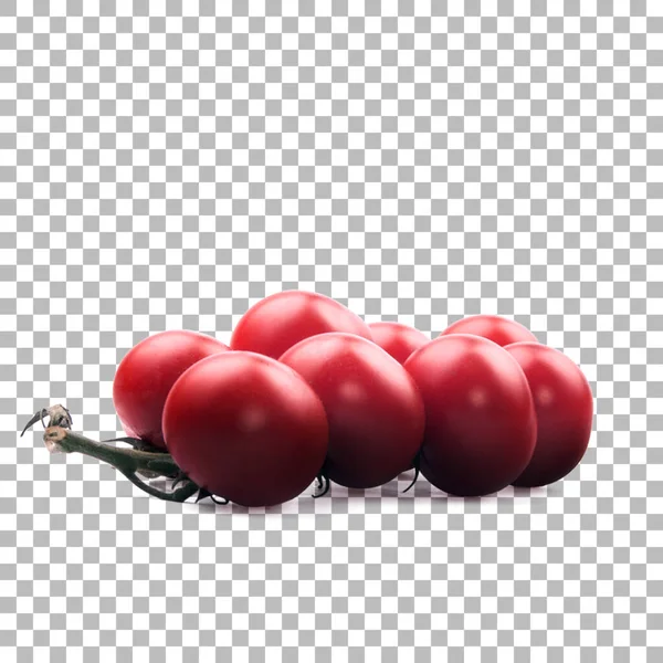 透明背景下分离的新鲜樱桃番茄作为包装设计元素 — 图库照片