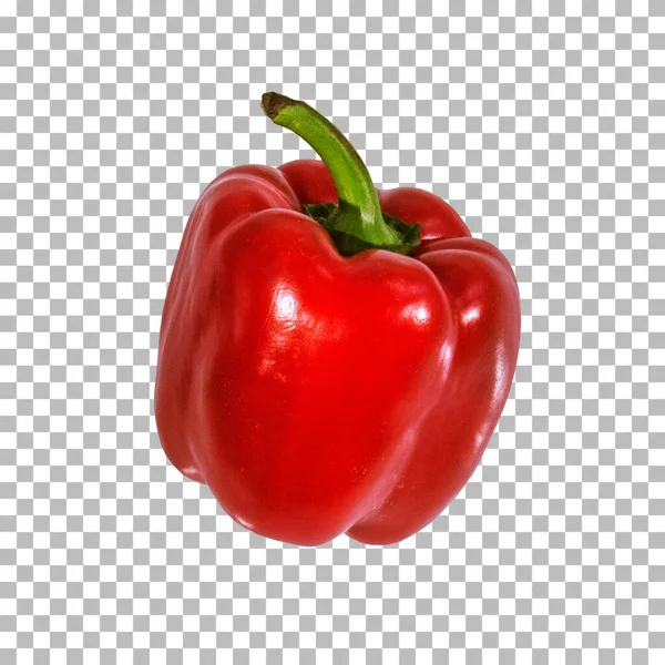 Sweet Red Pepper Isolated Suitable Design Asset — Stock Photo, Image