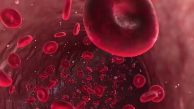 Damarlarında kan akıyor.