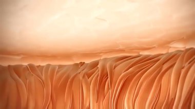 İltihaplı sivilceler, bakteriler tıkandığında ya da kapalı gözeneklerde oluşur. Bu da bağışıklık sisteminin bakterilerle savaşmaya tepki vermesine neden olur.