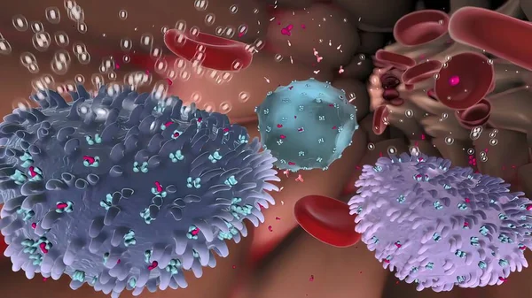 Immunrendszer Fehérvérsejtek Antitestek Komplement Rendszer Nyirokrendszer — Stock Fotó