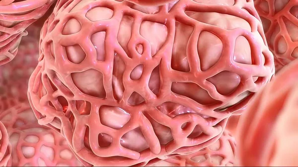 Akciğerde alveolar illüstrasyon