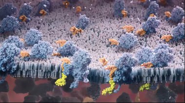 Neuronas ve Synapse 3D canlandırma. Beyindeki sinirsel aktivite, nöral ağ, nöroaktivite, sinapslar, dendrid, nörotransmitter, myelin, Schwann hücreleri, beyin, aksonlar.