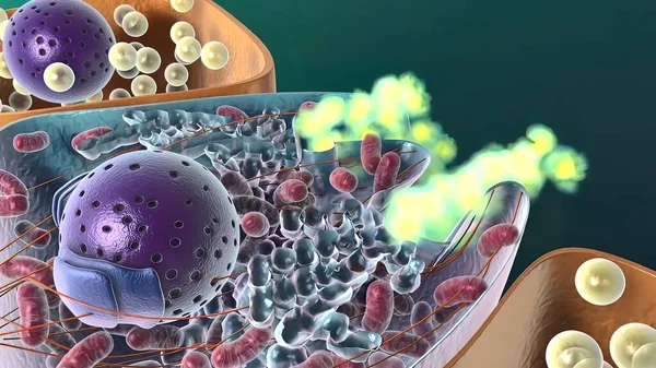 Amiloit Önleyici Protein Dekoltesi Tıbbi Llüstrasyon — Stok fotoğraf