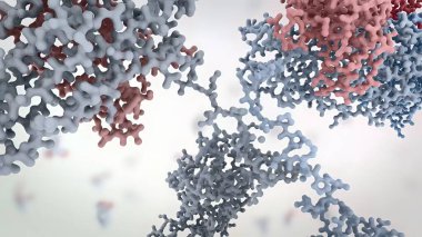 Antikorlar, bağışıklık sistemi tarafından enfeksiyonlarla savaşmak için üretilen proteinlerdir. 3B Hazırlama