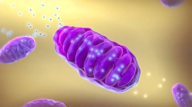 ATP synthase 3D Medikal 3D Render .