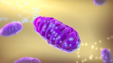 ATP synthase 3D Medikal 3D Render .