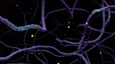 Makrofaj bir kanser hücresini yiyip bitiriyor, bağışıklık hücreleri fiziksel olarak hasarlı veya hastalıklı hücreleri sindirebiliyor, kanser immünoterapisi yapabiliyor. 3B Hazırlama