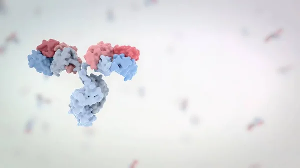 抗体は感染と戦うために免疫系によって産生されるタンパク質である 3Dレンダリング — ストック写真