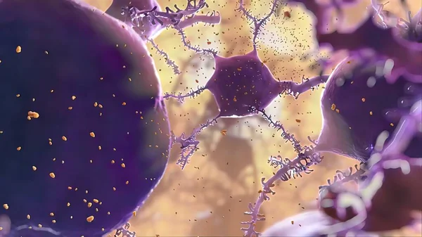 Anticorpos São Proteínas Feitas Pelo Sistema Imunológico Para Combater Infecções — Fotografia de Stock
